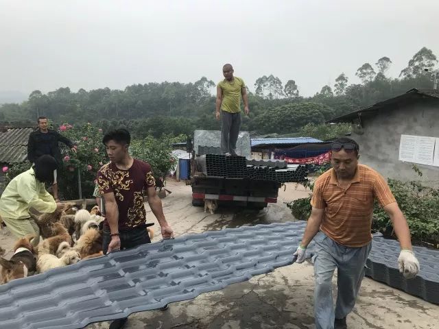 夏天樹脂瓦為它降溫——「破,爛,跨」的動物救助基地。