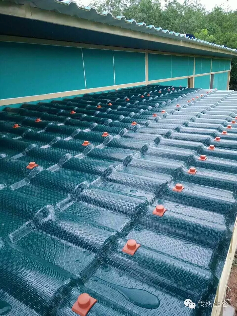 合成樹脂瓦 秸稈瓦安裝視頻教程,文字安裝步驟解答