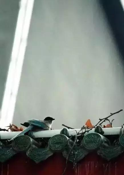 這樣的院子,只有中國人駕馭得了它!