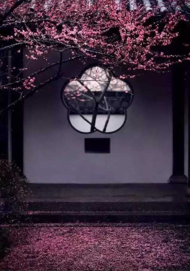 這樣的院子,只有中國人駕馭得了它!