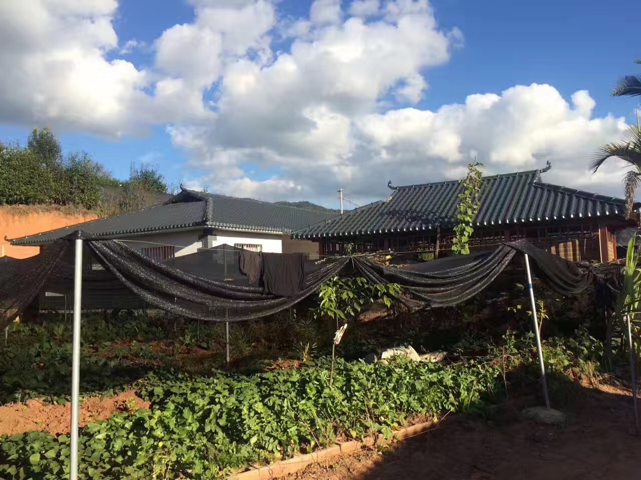 灰底樹脂瓦和白底樹脂瓦的區別有什么?價格差異為什么那么大?