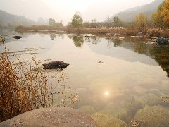保定樹脂瓦廠家直銷