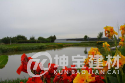 1590721018604650.png 182551_lidy_1590632771339.png