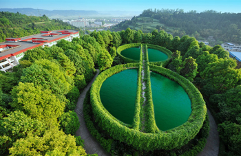 射洪樹脂瓦廠家直銷