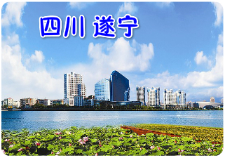 遂寧樹脂瓦廠家直銷